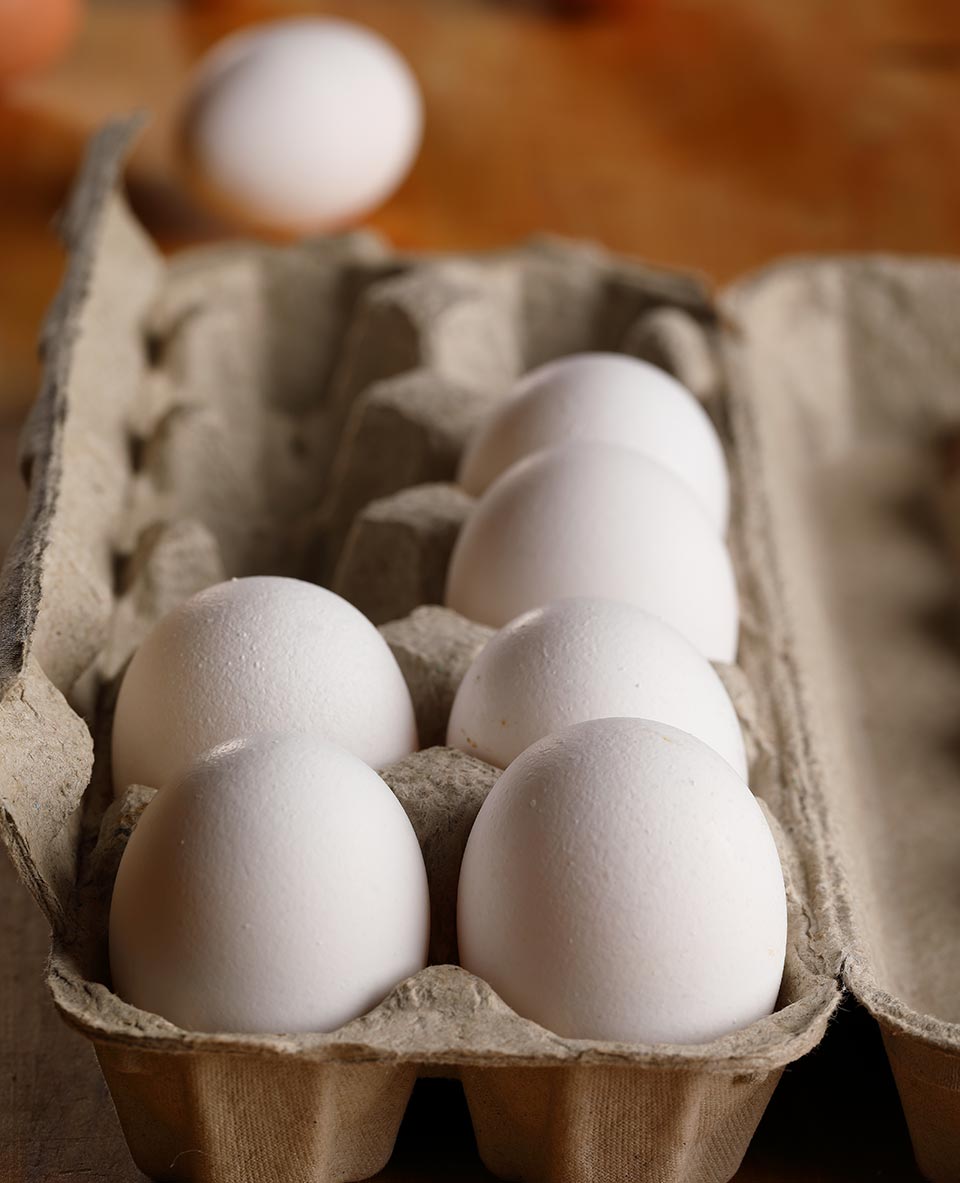 carton-of-eggs