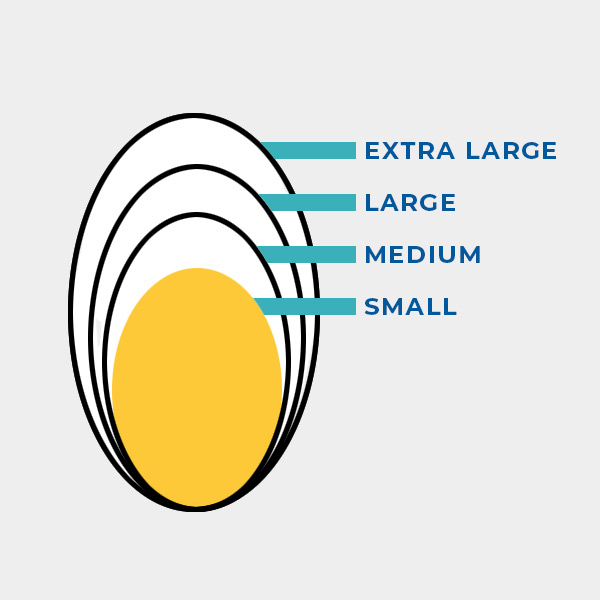 egg-size