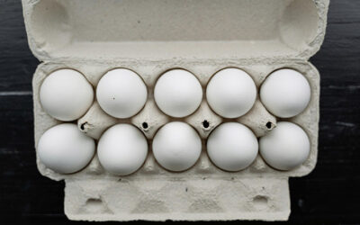 Egg Farmers Give Free Egg Coupons to Schools Across Manitoba
