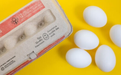 The sale of ungraded eggs has been permitted by the Manitoba Government at farmers markets across the province.